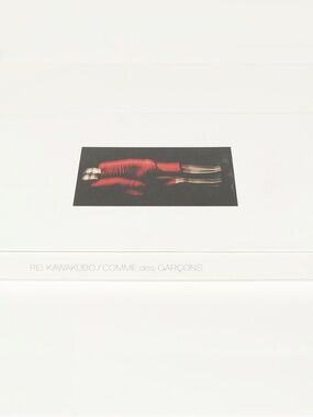 Rei Kawakubo/Comme des Garcons: Art of the In-Between - Andrew Bolton